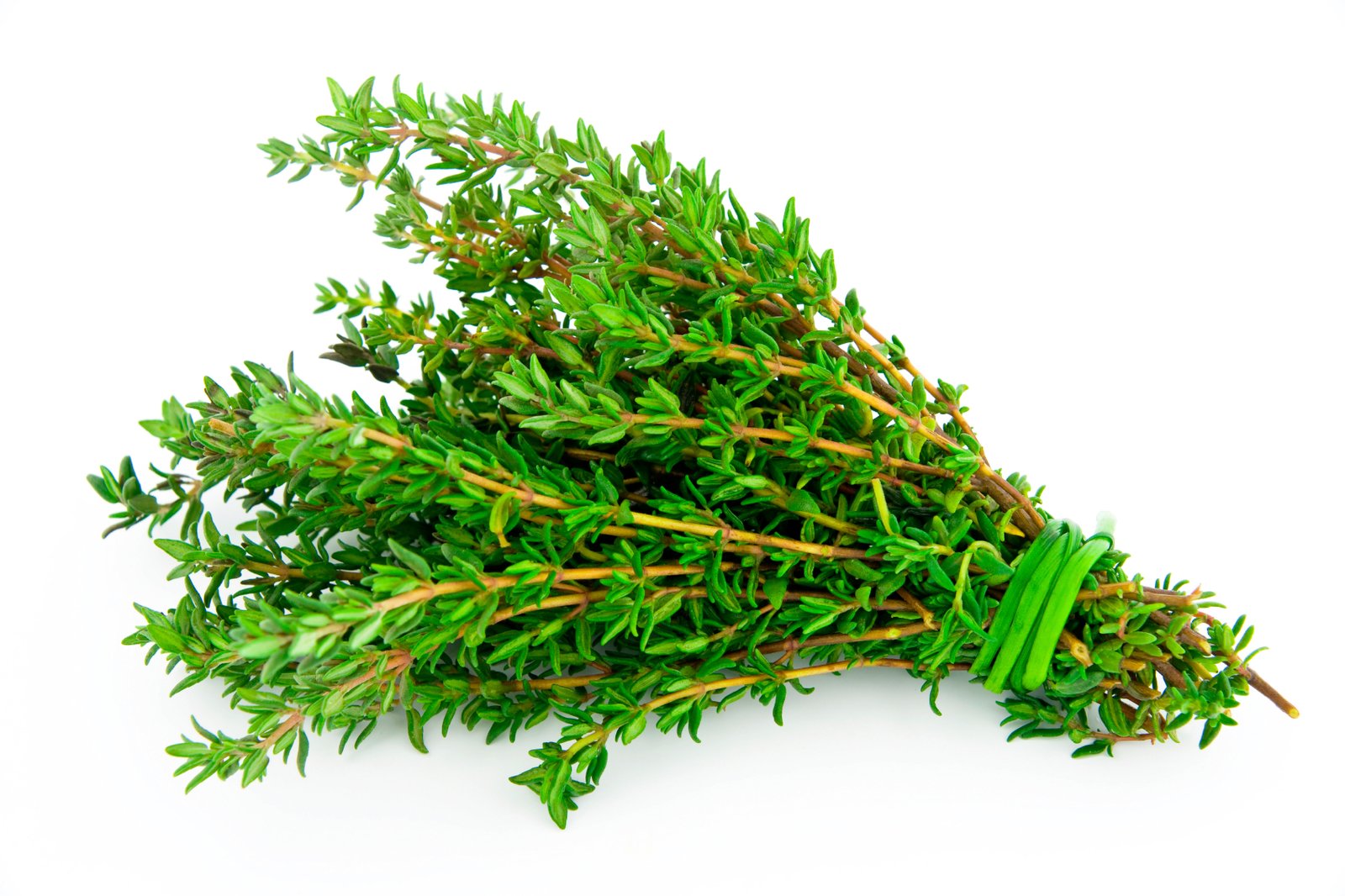 thyme
